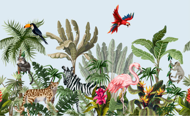 ilustraciones, imágenes clip art, dibujos animados e iconos de stock de frontera con animales de la selva, flores y árboles. vector - bosque pluvial ilustraciones