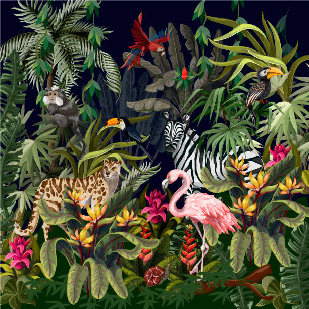 bildbanksillustrationer, clip art samt tecknat material och ikoner med gränsen till djungeldjur, blommor och träd. vektor - australia forest background