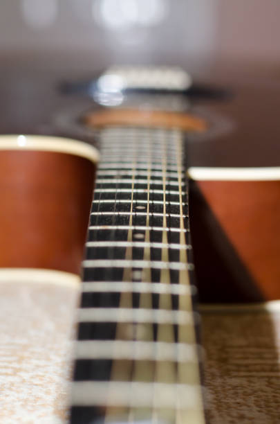 istock Brown Acoustic Guitar with Black Vulture and Bronze Strings 1205082568