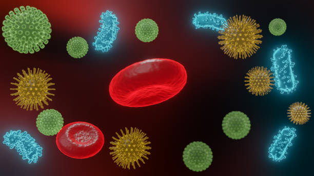 istock Pathogenic viruses causing infection in host organism , Viral disease outbreak , for background or graphic resourse , 3d render 1205082998
