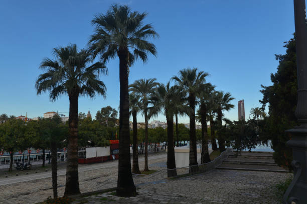 istock Early morning in Seville. 1205083005