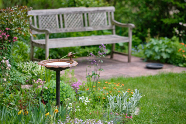 idilliaco giardino verde primaverile con panca e bagno di uccelli - birdbath foto e immagini stock