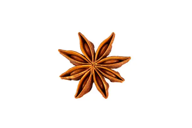 Single Chinese star anise seed isolated over the white background