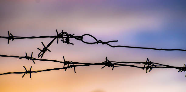 istock Barbed wire on background of blue sky 1205085050