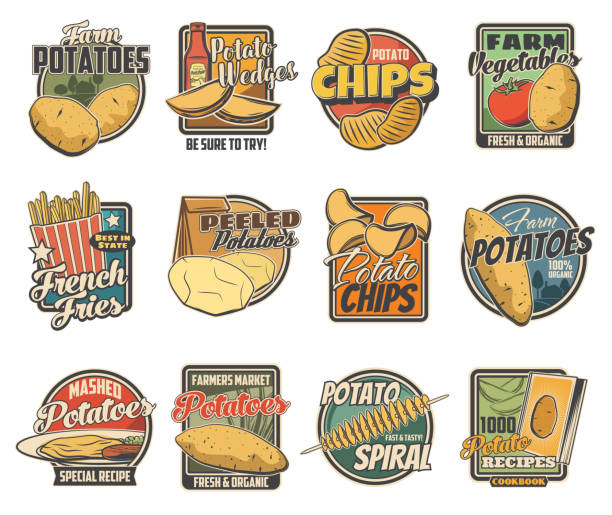 illustrations, cliparts, dessins animés et icônes de produits alimentaires de pomme de terre, icônes de vecteur - french fries fast food french fries raw raw potato