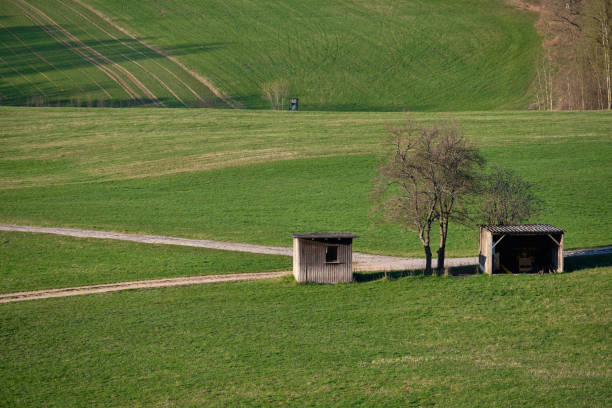 istock Abstract green rural springtime landscape with a shed 1205087398