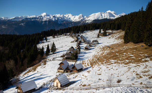 istock Zajamniki, Pokljuka, Slovenia 1205087734