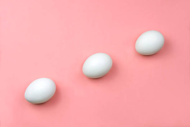 istock Close up of white eggs on plain pastel pink background with copy space 1205091995