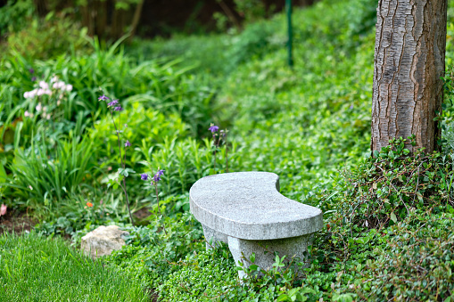 Idyllic view of a beautiful green and growming  springtime garden with with plants and flowers and a stone bench under a tree on a sunny day