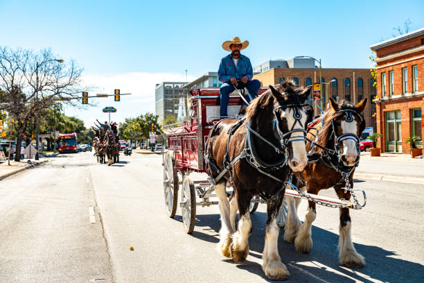 San Antonio, Texas, USA-February 1, 2020. Rodeo parade with horses at Historic Market Square in downtown San Antonio. People dressed in traditional wardrobe of old times. Mexican culture, Pioneer explorers culture. Horse riding on downtown city streets.