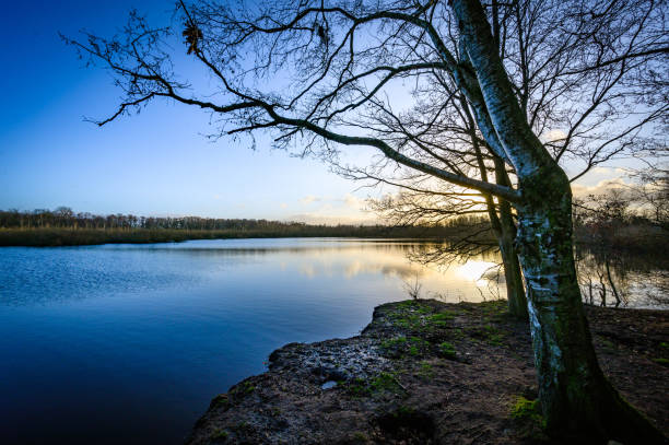 istock Evening mood at the lake in winter 1205092310