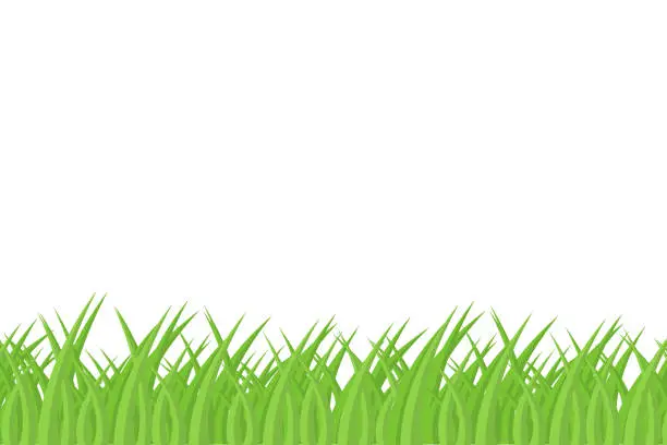 Vector illustration of Grass illustration. Vector in flat design with shadow