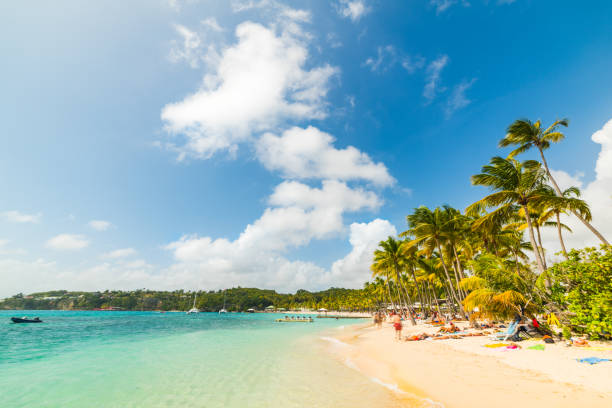 istock Clouds over La Caravelle beach in Guadeloupe 1205097854