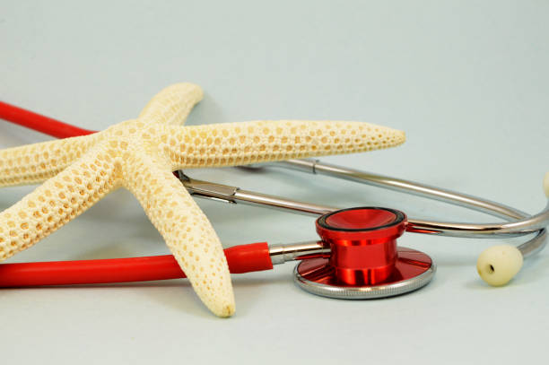 istock Medical Care Vacation 1205098590