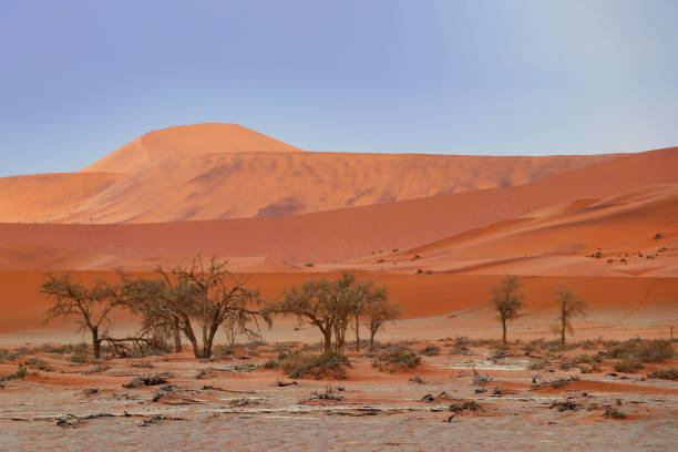 istock Sossusvlei (Namib-Naukluft Park) - Namibia Africa 1205099212