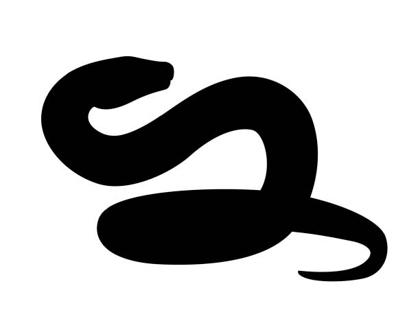 schwarze silhouette schlange cartoon tier design flache vektor-illustration isoliert auf weißem hintergrund - snake white curled up animal stock-grafiken, -clipart, -cartoons und -symbole