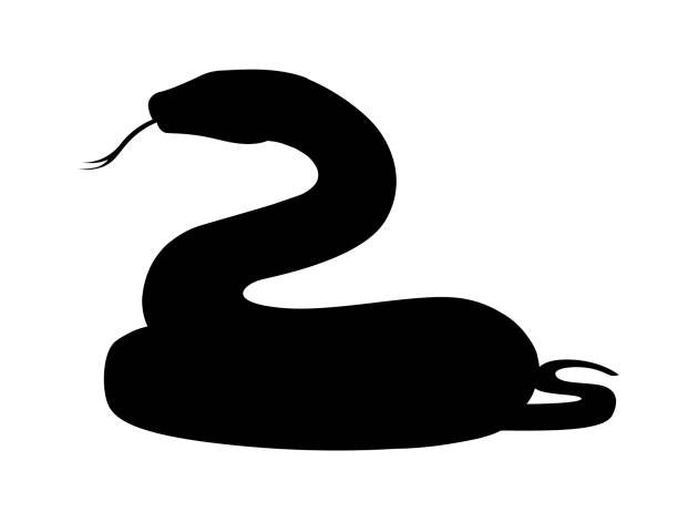 schwarze silhouette schlange cartoon tier design flache vektor-illustration isoliert auf weißem hintergrund - snake white curled up animal stock-grafiken, -clipart, -cartoons und -symbole