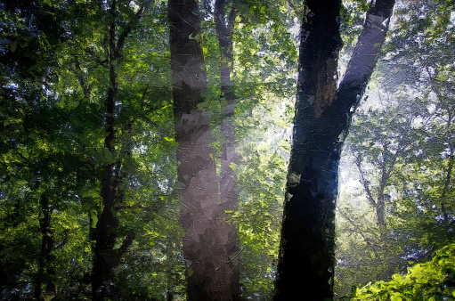 Impressionistic Style Artwork of Sunbeams in the Forest