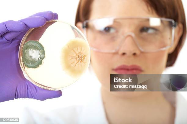 Kobieta Naukowiec Posiada Uwagę Na Płytce Petriego Bacterium - zdjęcia stockowe i więcej obrazów Agar
