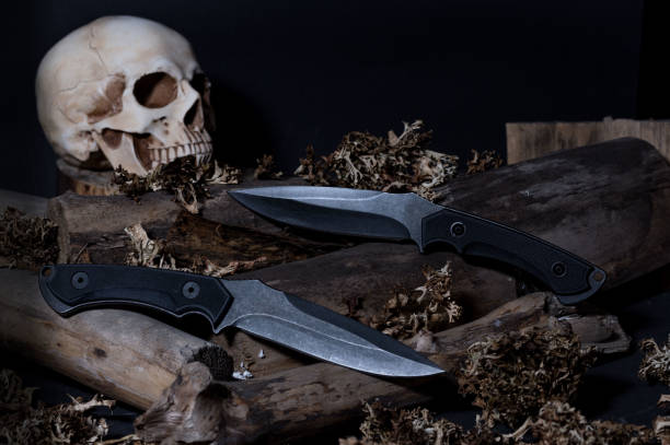 istock Two knives and a skull. Army knives on logs. 1205104180