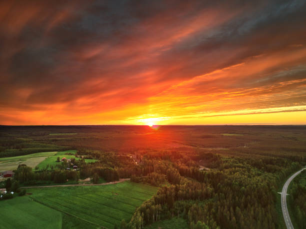 istock Aerial view of a forest against a bright orange sunset. 1205104376