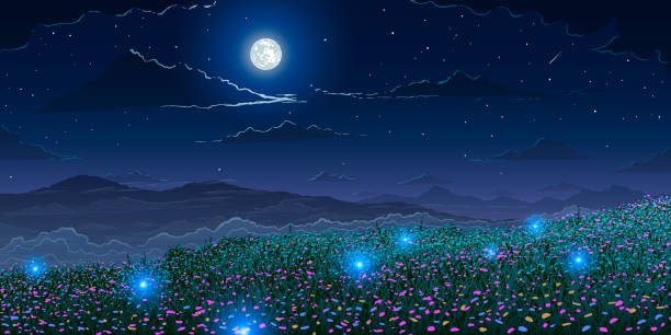 ilustraciones, imágenes clip art, dibujos animados e iconos de stock de fondo paisajístico de resorte vectorial. montañas y prados en flor con gusanos brillantes a la noche de la luna. - meadow summer backgrounds panoramic