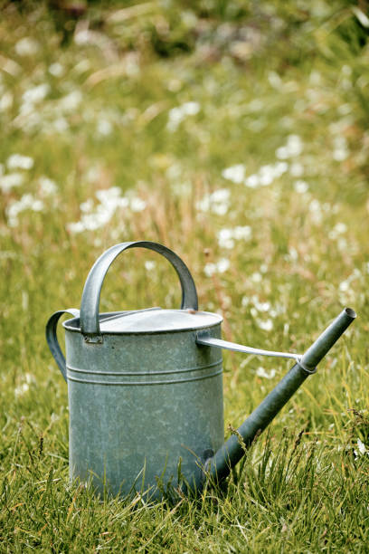 istock Old metal watering can standing in springtime garden 1205107033