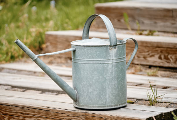 Old metal watering can standing in springtime garden stock photo