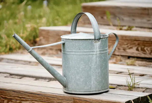 Old metal watering can standing on the wooden stairs of a terrace in the garden with grass and plants in the background