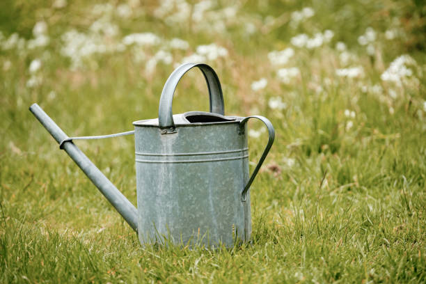 istock Old metal watering can standing in springtime garden 1205108334