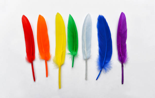 istock beautiful multi-colored feathers color rainbows on a white background 1205110988