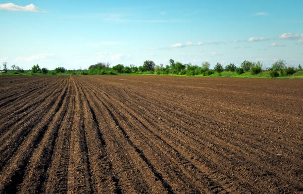 istock Preparing field for planting. Plowed soil in spring time with two tubes and blue sky. 1205111007