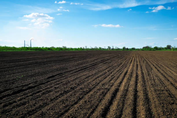 istock Preparing field for planting. Plowed soil in spring time, two tubes and blue sky. 1205111039
