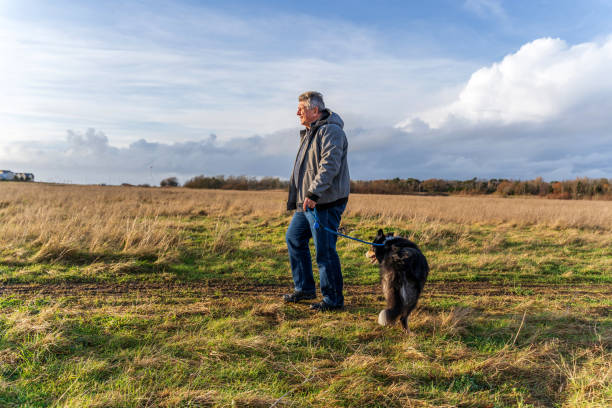 istock Man walking on grassland with border collie 1205112191