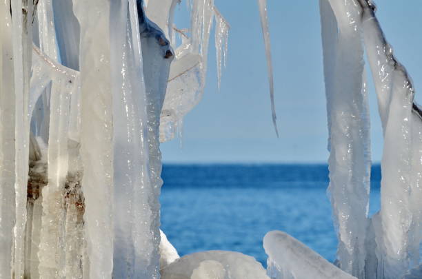 istock Tree encased in ice at the edge of a lake 1205116542
