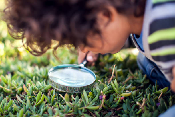istock A kid boy looking through magnifier at plants. Children, discovery and botany concept 1205118251