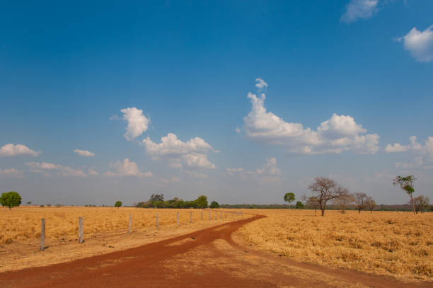 dirt road, blue skies and dry straw
