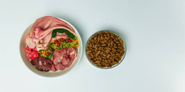 Natural healthy raw dog food as opposite of kibble dry food. BARF diet concept Copy space stock photo