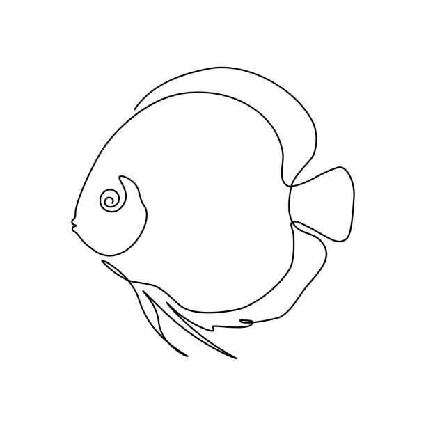 Discus fish Discus fish in continuous line art drawing style. Minimalist black linear sketch isolated on white background. Vector illustration discus fish stock illustrations