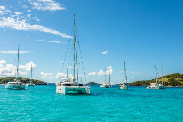 Turquoise colored sea with anchored yachts and catamarans, Tobago Cays tropical islands, Saint Vincent and the Grenadines, Caribbean sea Turquoise colored sea with anchored yachts and catamarans, Tobago Cays tropical islands, Saint Vincent and the Grenadines, Caribbean sea tobago cays stock pictures, royalty-free photos & images
