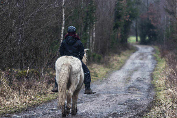 Horse friendship with human.