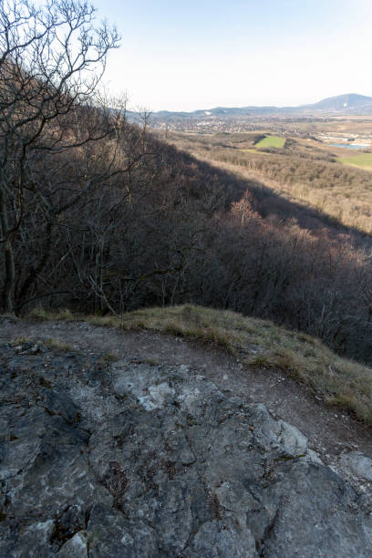 istock Hiking trail in the Buda Hills near Budapest 1205130523