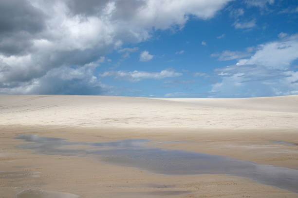 istock Amancio lagoon in northeastern Brazil 1205130648