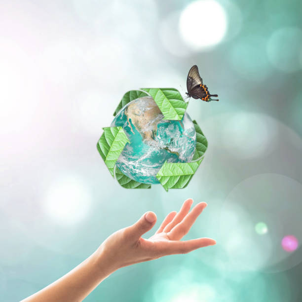 istock Waste recycle management, eco friendly concept with hands : Elements of this image furnished by NASA 1205136773