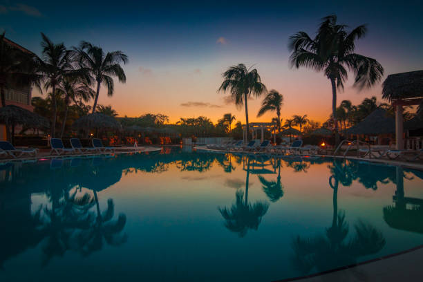 Reflection of palm trees over swimming pool