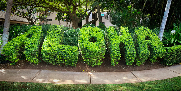 Aloha topiary in Kauai, Hawaii
