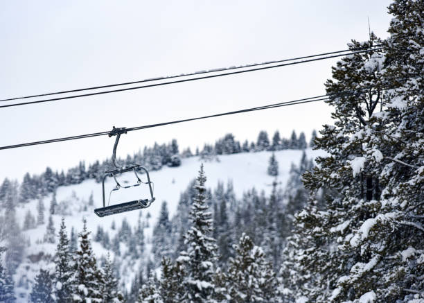 istock Chair lift above snowy trees 1205143673