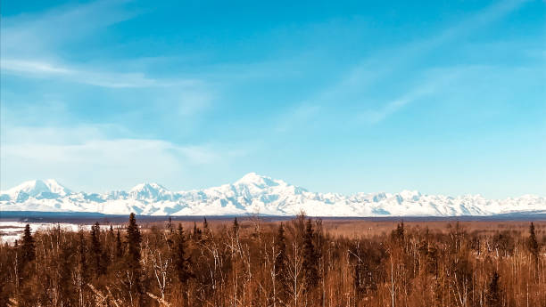 istock Sunrise in Denali National Park 1205147883