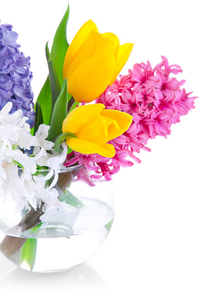 istock spring flowers in glass vase 120515032