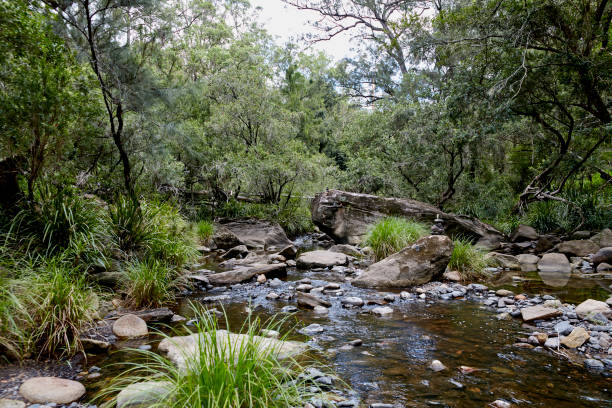 istock scenes from and around the Brisbane landscape 1205150977